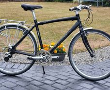 Gents Giant Crs Bike..new Chain