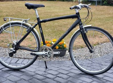 Gents Giant Crs Bike..new Chain