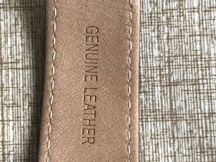 skagen watch