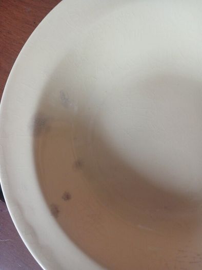 carrigaline pottery