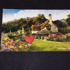 Thatched Cottages , Selworthy Green , Somerset - Postcard