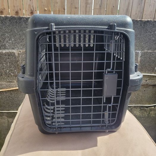 cat / dog transport