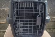 cat / dog transport