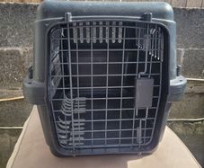 cat / dog transport