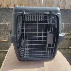 cat / dog transport