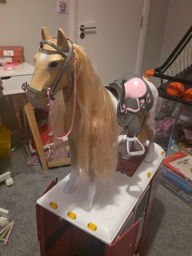 Generation horse trailer and horses