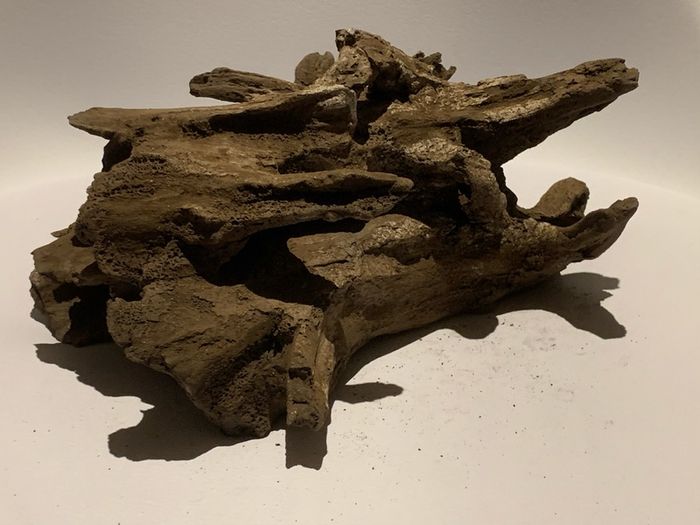 Hiding Clay cave like wood for pleco / cichlid