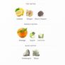 Citrus Poetry by Les Soeurs de Noe Image 2
