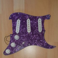 Strat loaded pickguard