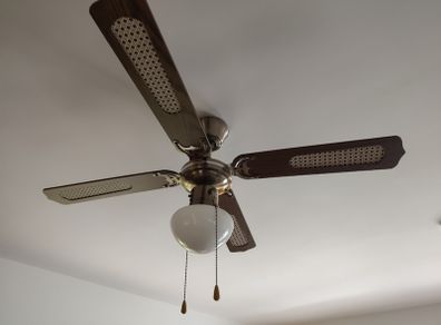 Rustic Ceiling Fan with Light