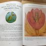 New Treasury of Children's Literature Image 10
