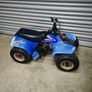 Kids Quad LT50 Image 3