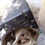 range rover l322 transfer case Image 3