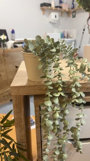 Collection of fake plants and pots