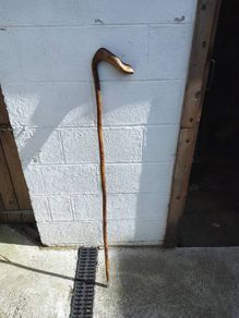 walking stick / cane /shepherd's cane