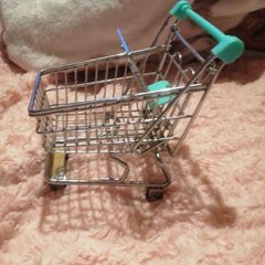 Mini Shopping Trolley