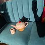 Cake Teapot and Milk Jug Image 2