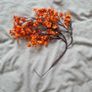 Artificial Full Star/Babysbreath Flowers X 4 Image 2