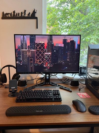 Gaming Rig