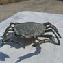 Midcentury Italian Crab and Frog Brass Ashtrays Image 3