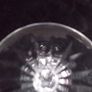 Waterford Crystal Image 4