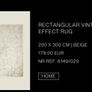 Zara Home Rug Image 2