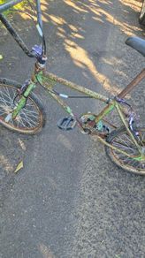 vintage classic bmx
