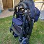 Buggy Peg Perego Image 5