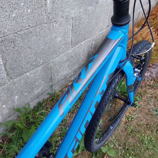 Giant ARX JR 24" wheel kids bike - kids aged 7-12 years old - Hybrid Bike - Fully serviced