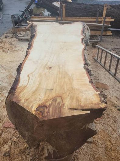 Hardwood timber