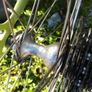 Vintage road bike Image 5