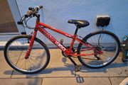 Vortice Apollo Junior Bike