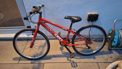 Vortice Apollo Junior Bike