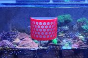 Half Cylinder Nori / Seaweed Feeder