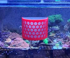 Half Cylinder Nori / Seaweed Feeder