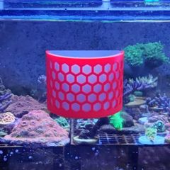 Half Cylinder Nori / Seaweed Feeder