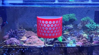 Half Cylinder Nori / Seaweed Feeder