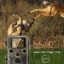 Hunting Camera 16MP 1080P Full HD Wildlife Scout Camera with Night Vision Hunting Game Camera Photo Traps Hunter Cam Image 5