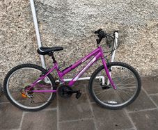 girls bicycle 2 years old. Bought new.