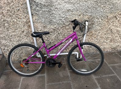 girls bicycle 2 years old. Bought new.