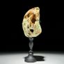 Mineral Form - Green Smithsonite Image 4