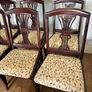 Dining Chairs Image 3