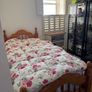 Single pine solid bed for sale Image 2