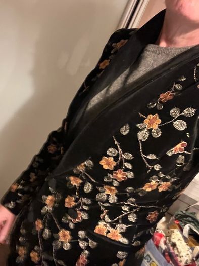 Velvet blazer & Other Stories