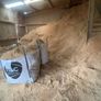 Sawdust animal bedding Image 2