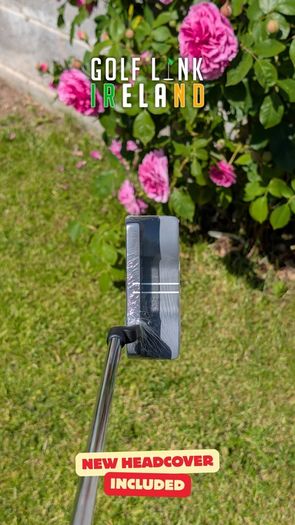 Brand New Huaen EX-200 #4 Mallet Putter
