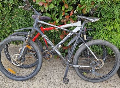 Giant mountain bikes