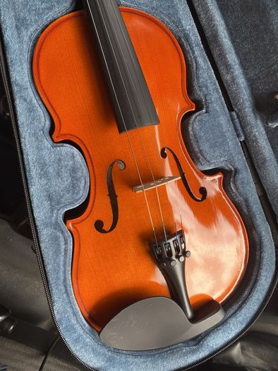 violin