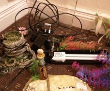 30l aquarium