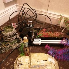 30l aquarium